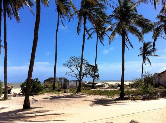 Scoop Cabana Kitesurfing Kalpitiya Zewnętrze zdjęcie